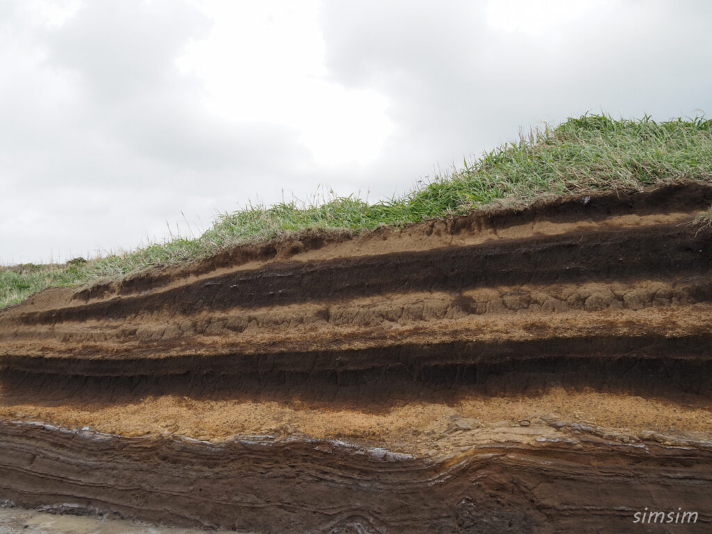 三宅島　伊豆岬