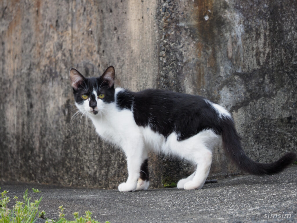 帰りのフェリーは2等船室