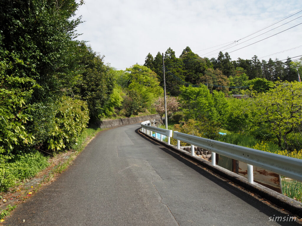 埼玉県県民の森