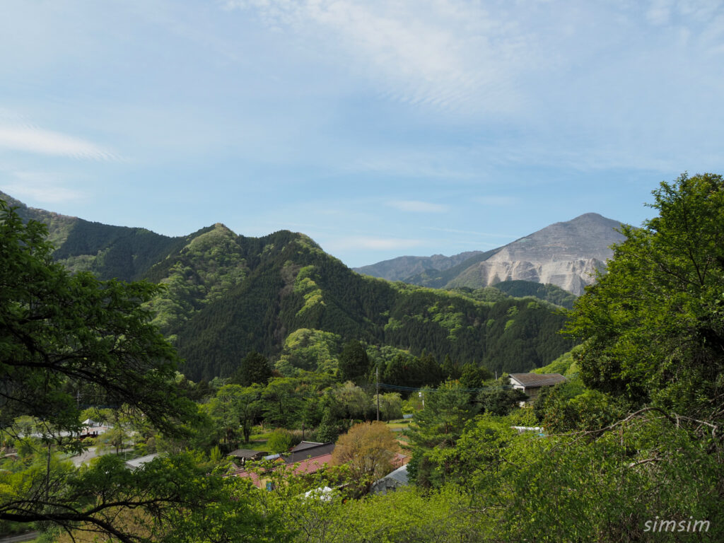 埼玉県県民の森