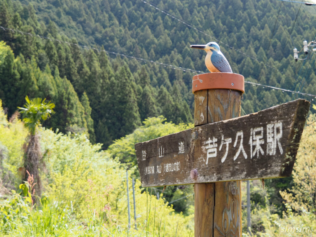 埼玉県県民の森