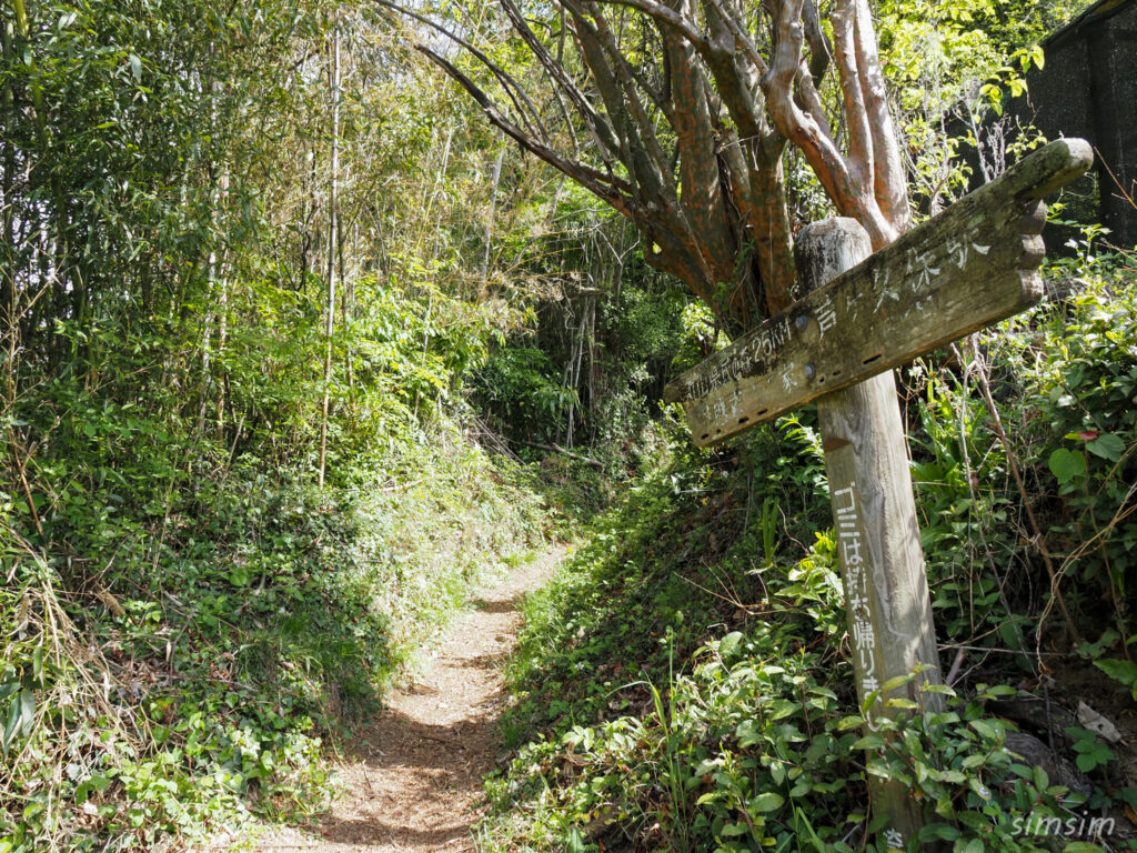 埼玉県県民の森