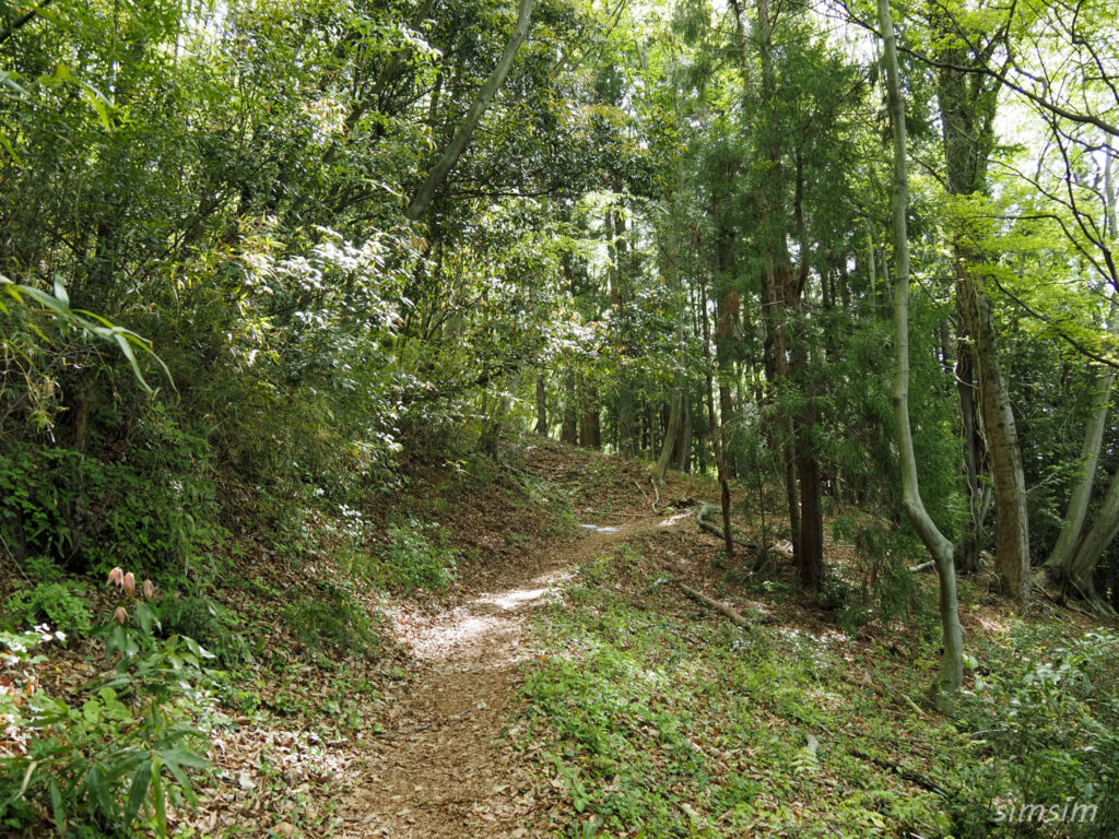埼玉県県民の森