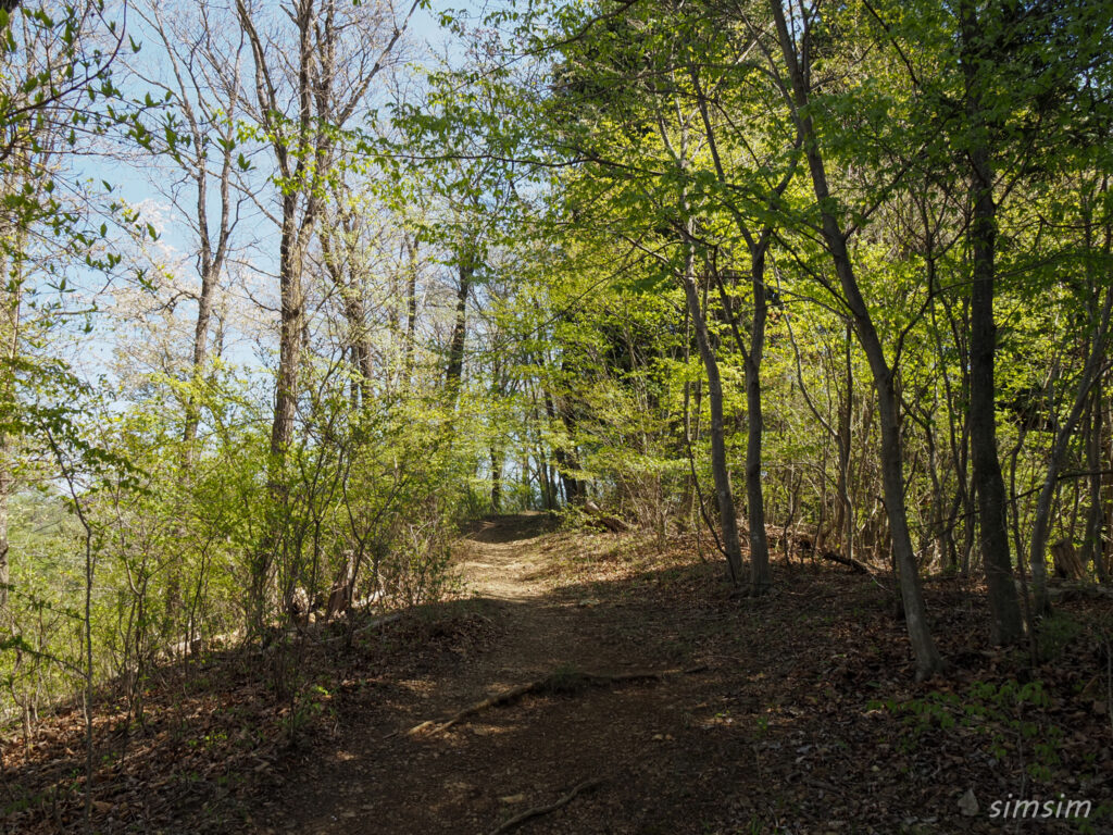 埼玉県県民の森