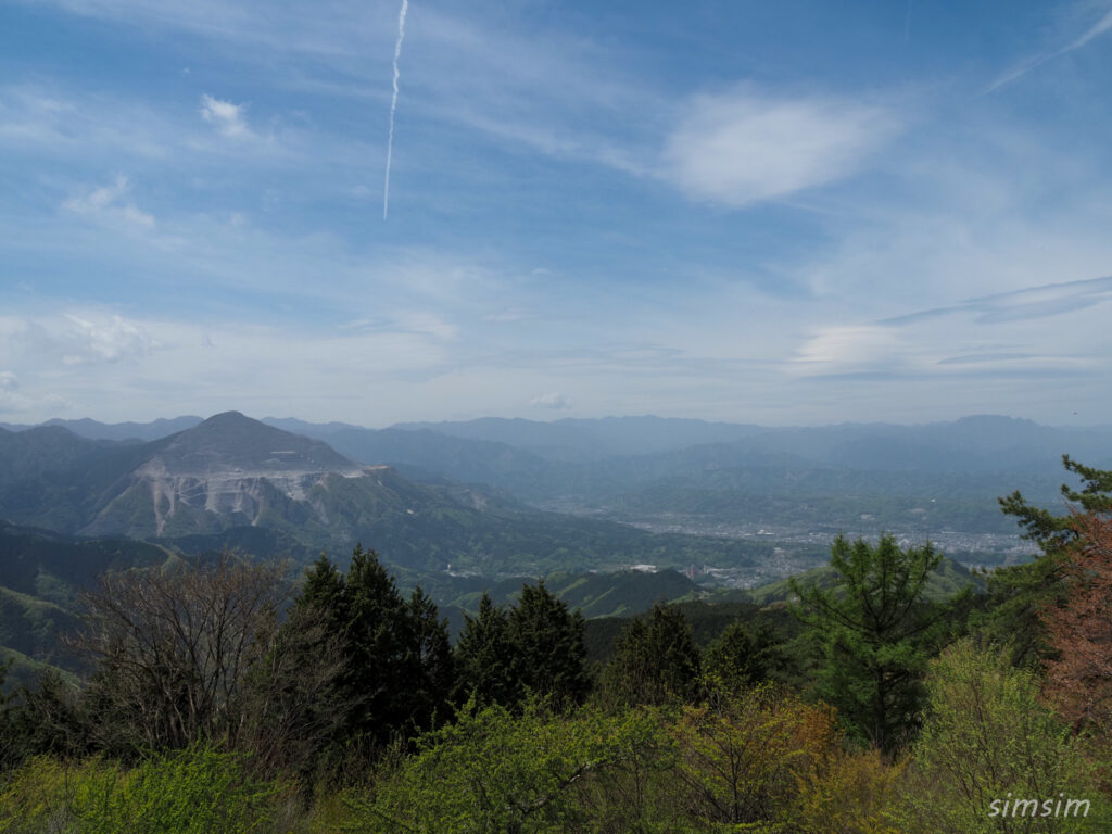 埼玉県県民の森　丸山