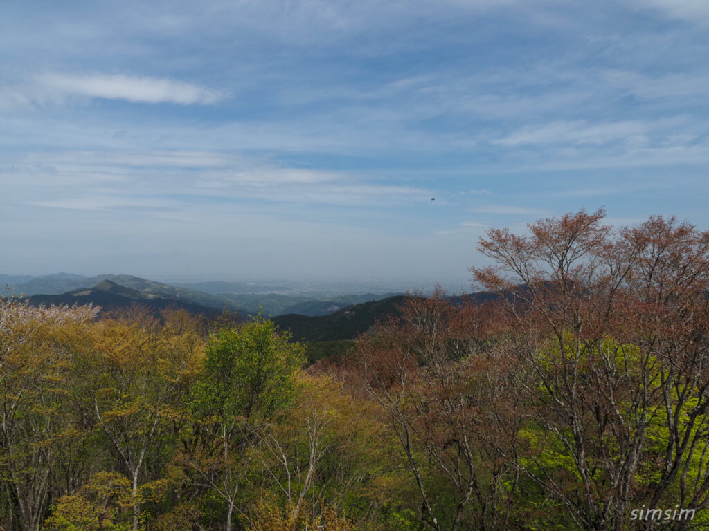 埼玉県県民の森　丸山