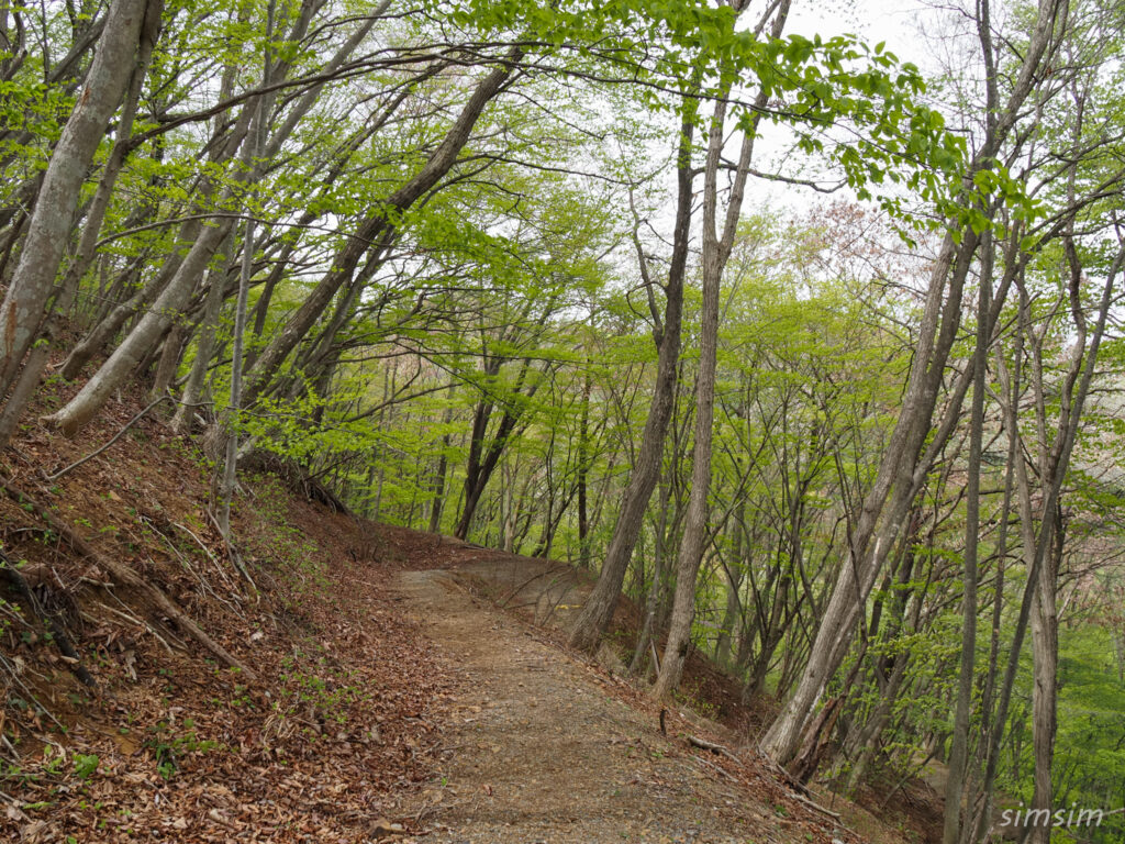 埼玉県県民の森