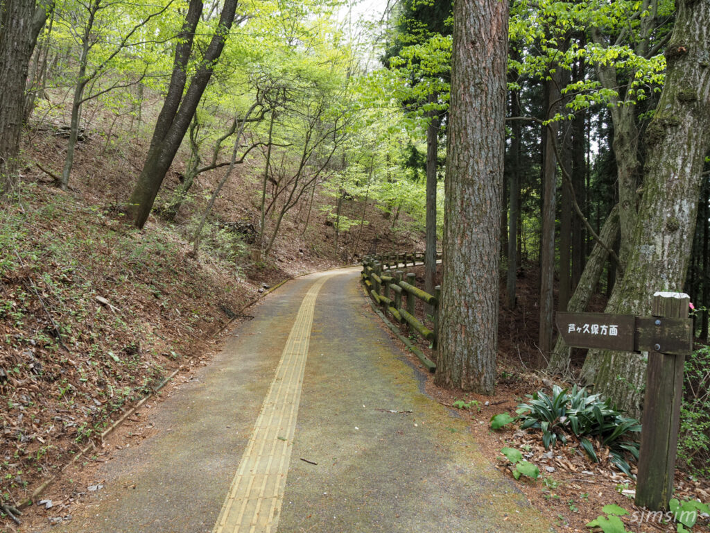 埼玉県県民の森