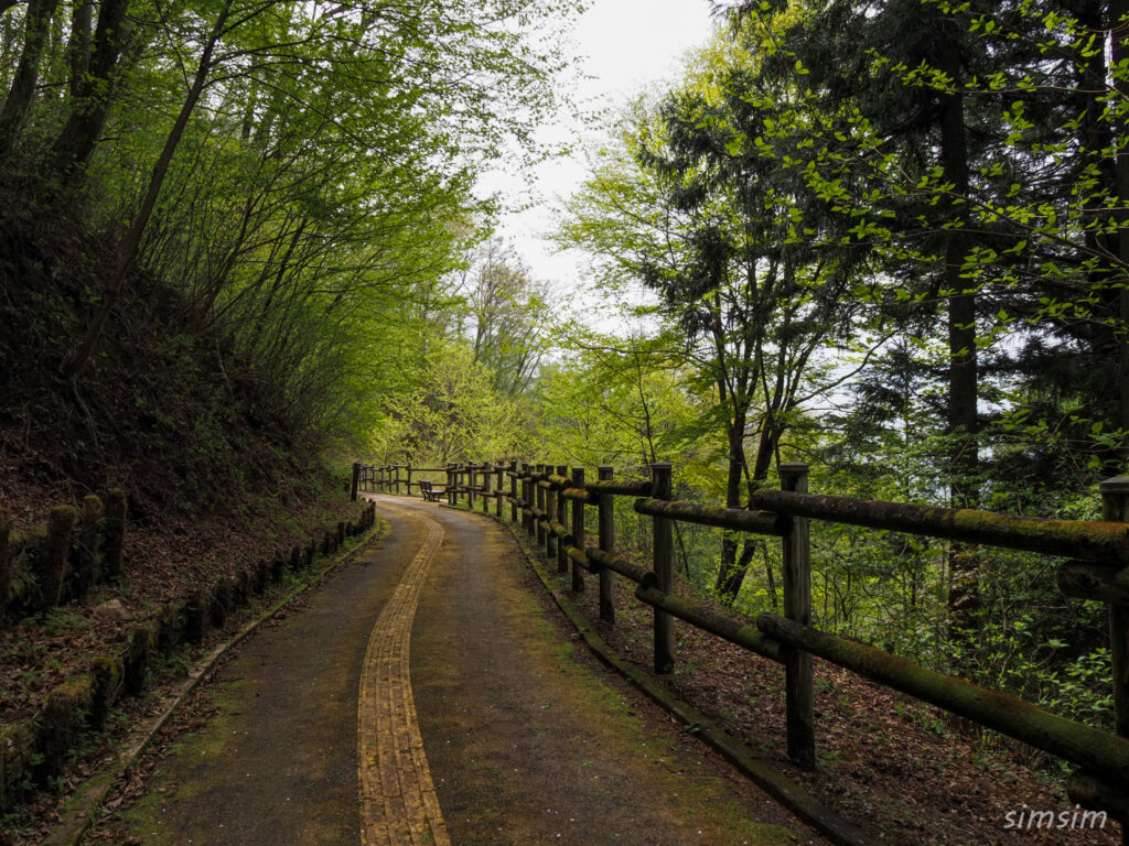 埼玉県県民の森