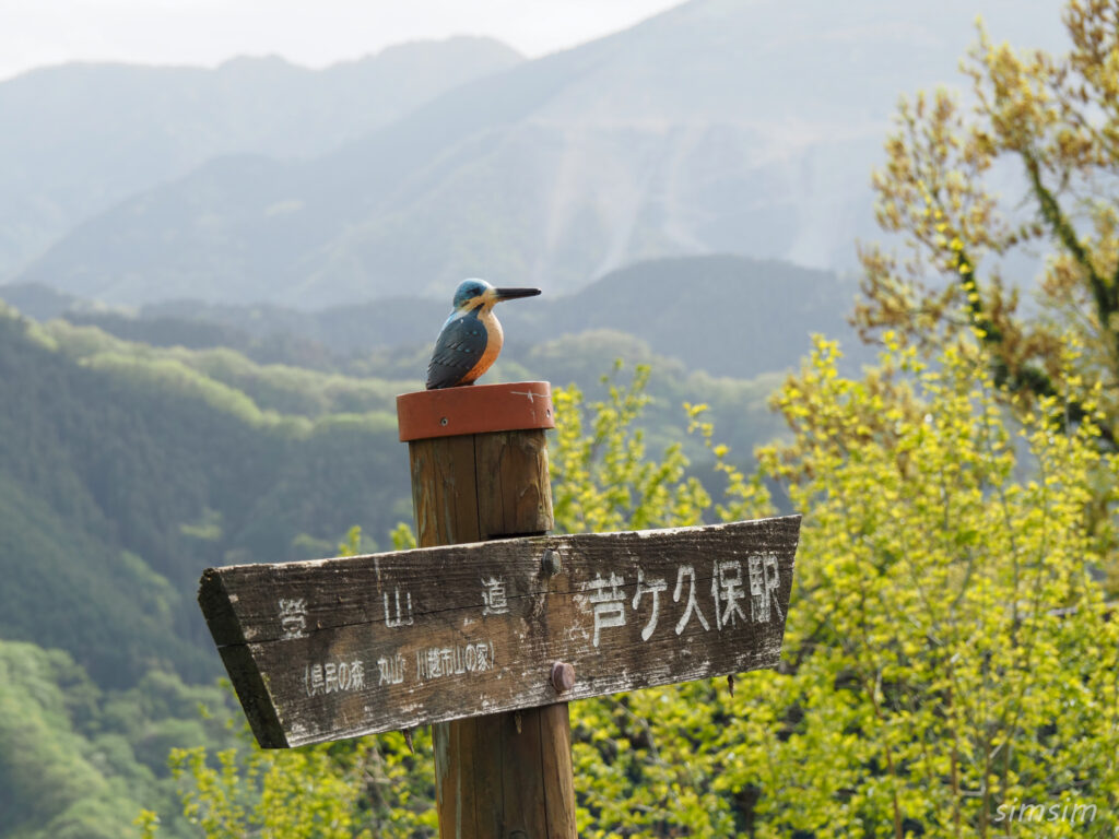 埼玉県県民の森