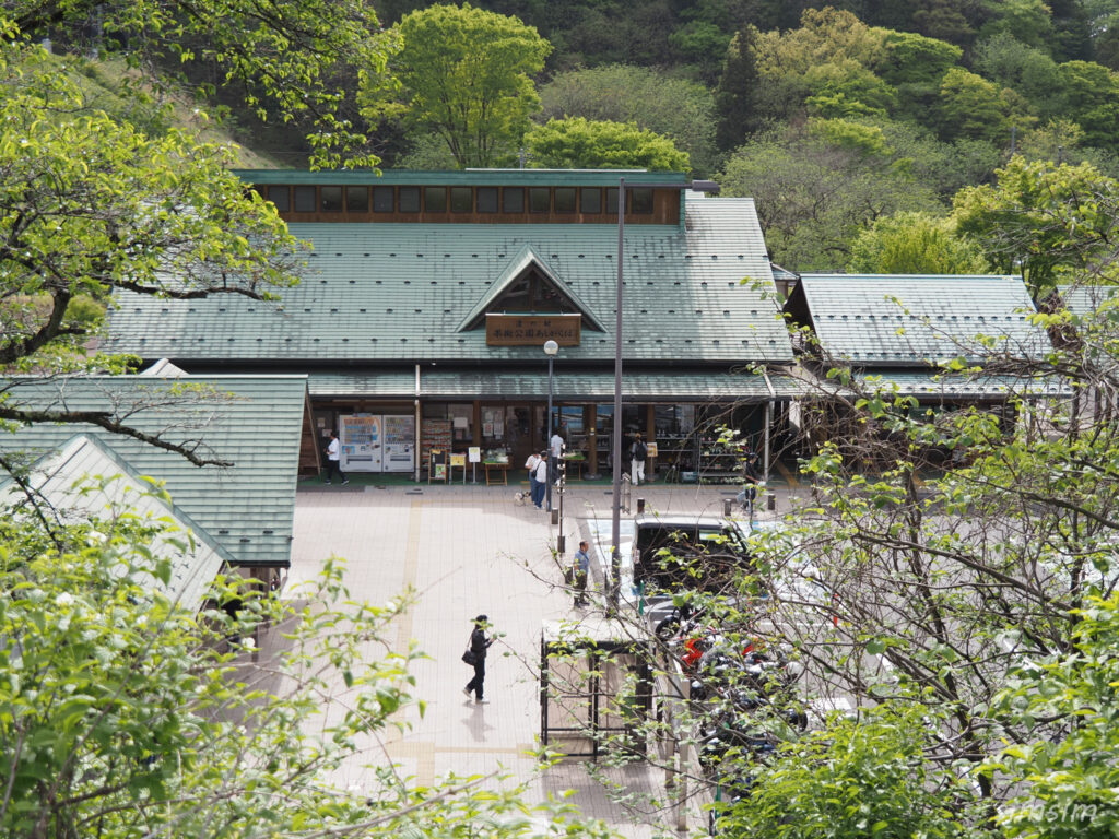道の駅 果樹公園あしがくぼ ツバメ