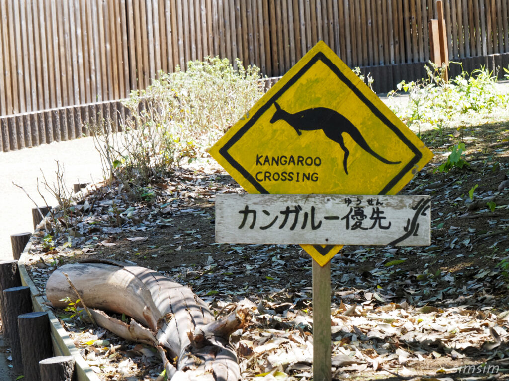 埼玉県こども動物自然公園　カンガルー
