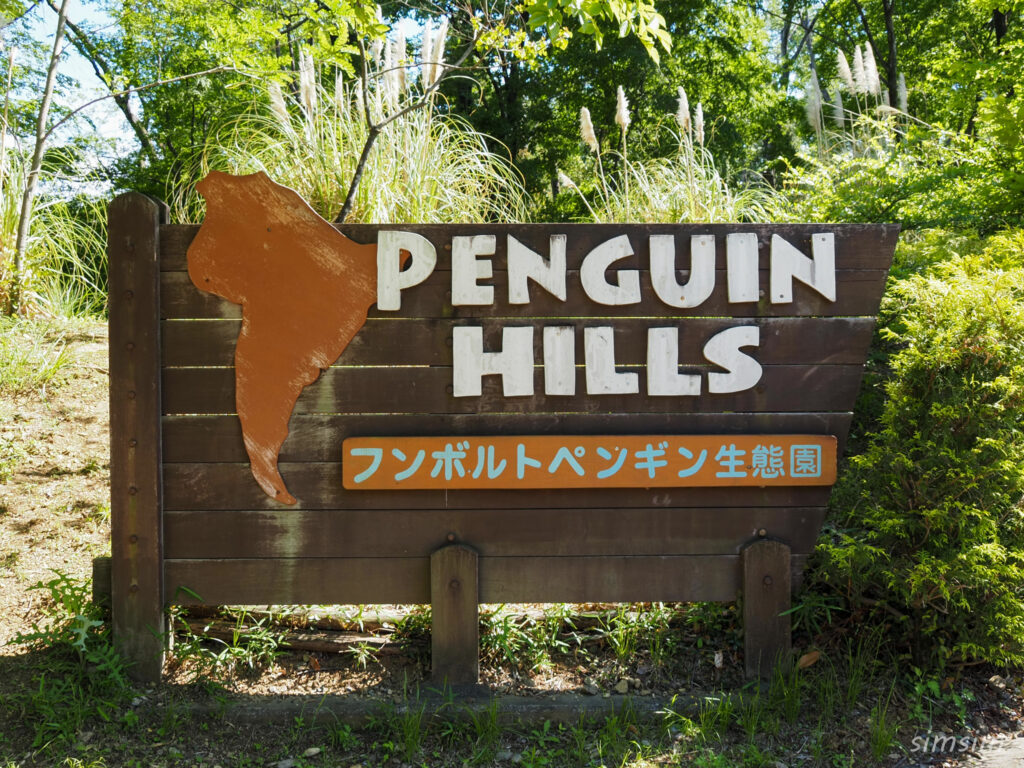 埼玉県こども動物自然公園　ペンギンヒルズ