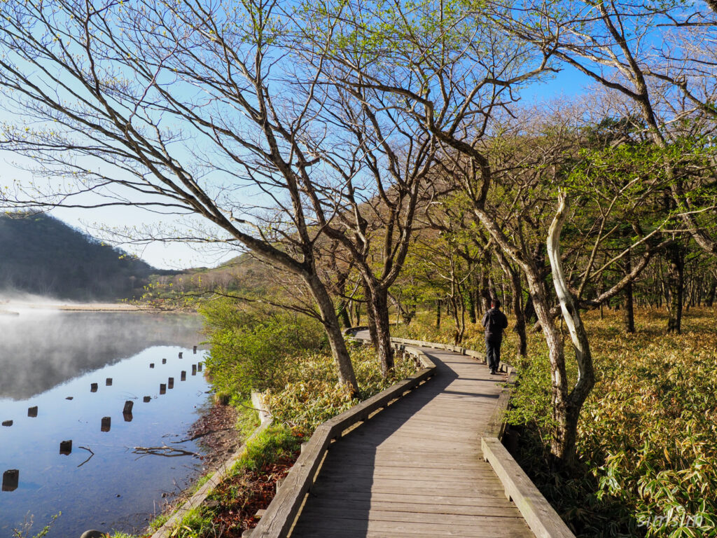 赤城山山麓　覚満淵