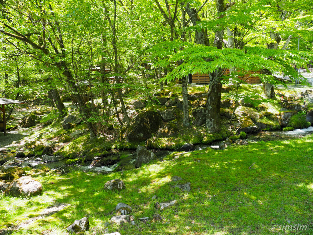 赤城山山麓　利平茶屋森林公園