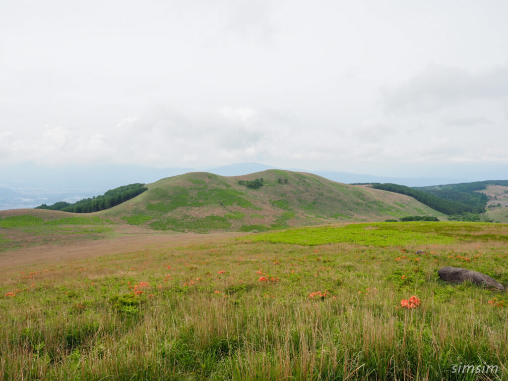 霧ヶ峰富士見台