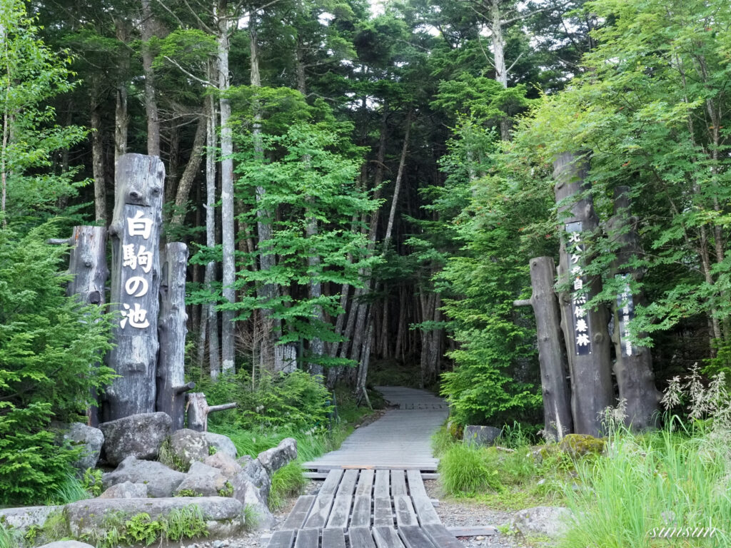 白駒池