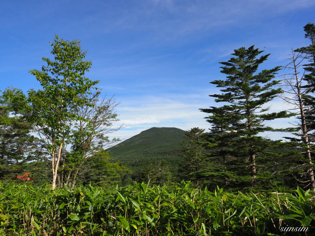 麦草峠