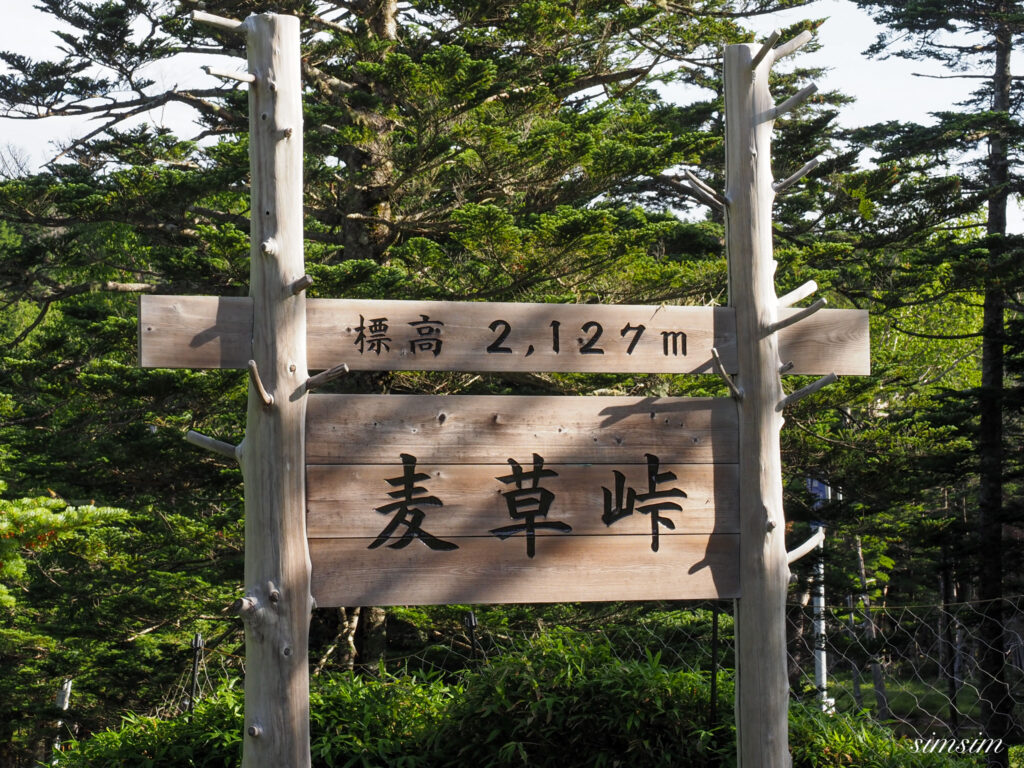 麦草峠