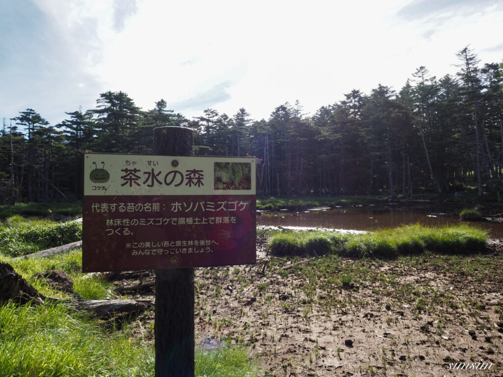 麦草峠 茶水の池