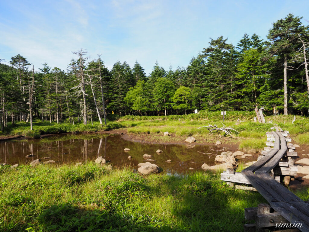 麦草峠 茶水の池