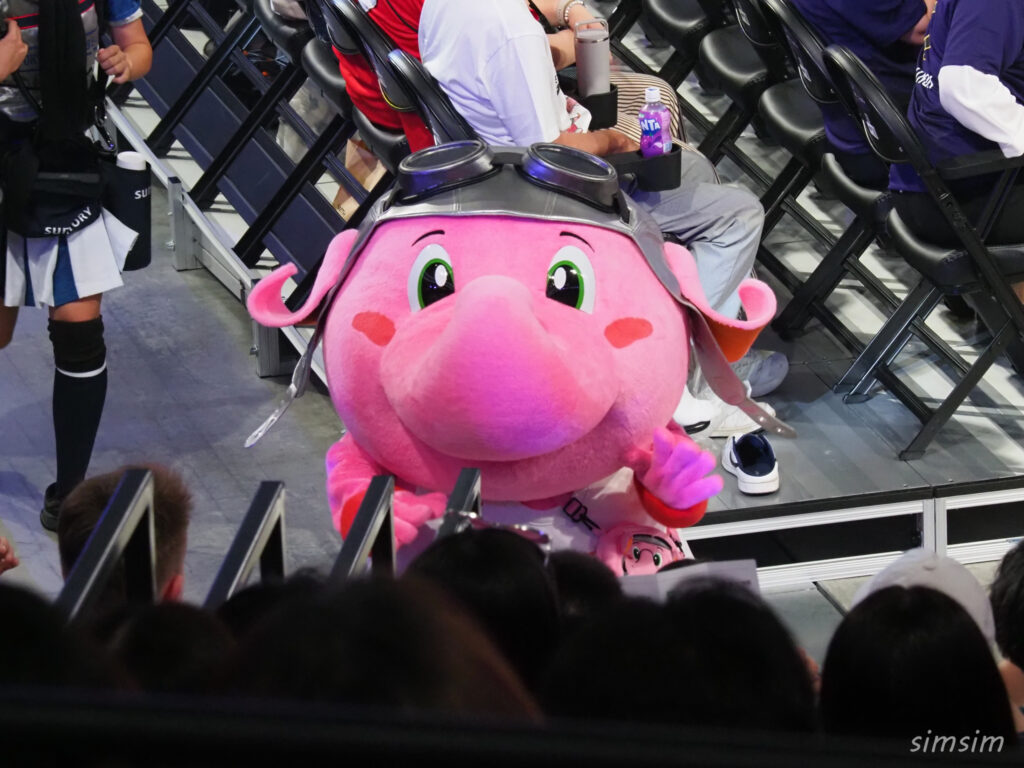 トヨタアリーナ東京 Bリーグ バスケ観戦